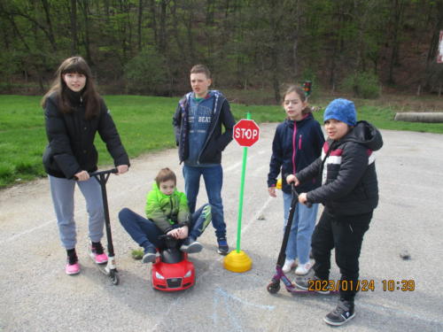 IMG 7961