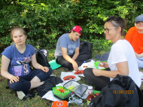 IMG 6643