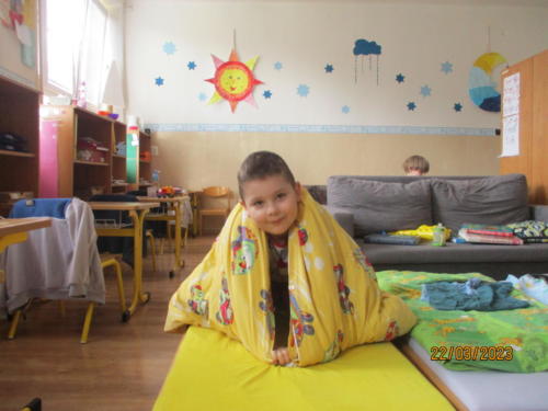 IMG 6515