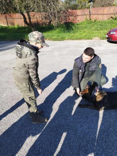 393424803 313736541406899 6016662489798333770 n