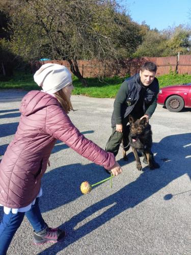 393941005 3615605475351338 4362377603590590906 n