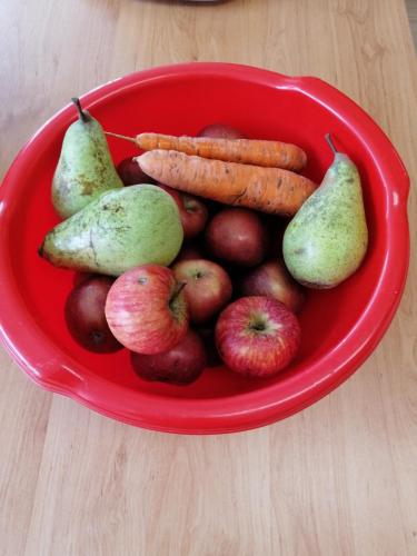 IMG 20231017 103040 resized 20231017 122619870