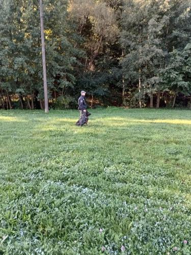 IMG 20231018 093424183 HDR