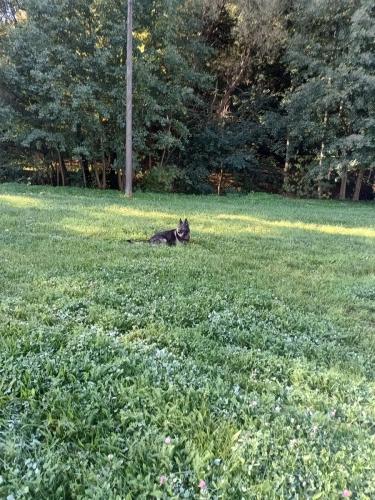 IMG 20231018 093838753 HDR