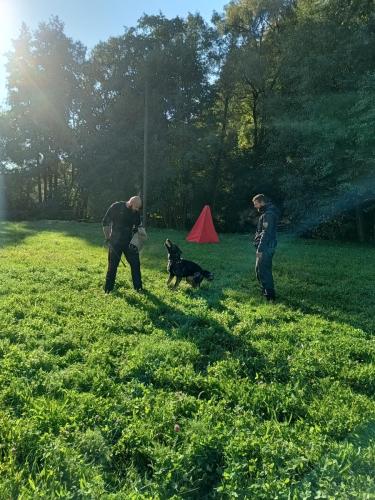 IMG 20231018 095427822 HDR