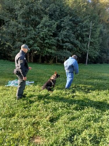 IMG 20231018 100505387 HDR