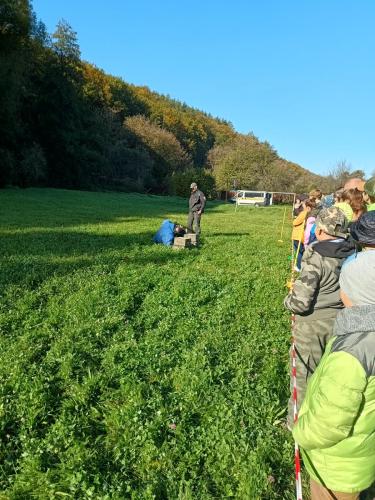 IMG 20231018 100622627 HDR