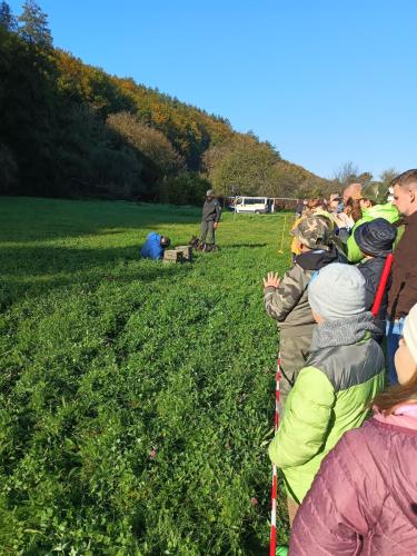 IMG 20231018 100633525