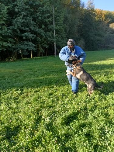 IMG 20231018 100725053 HDR