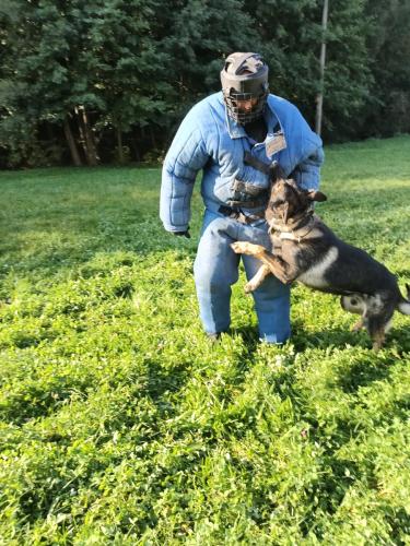 IMG 20231018 100726586 HDR