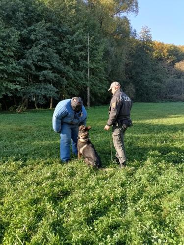 IMG 20231018 100754737 HDR