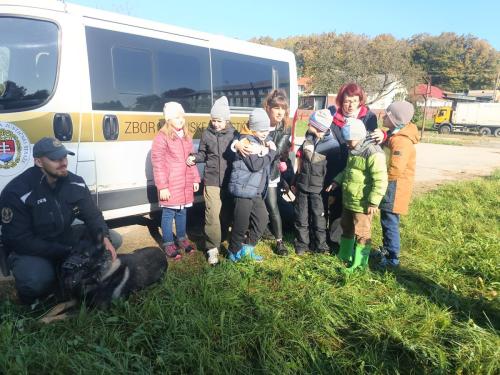 IMG 20231018 101525332 (1)