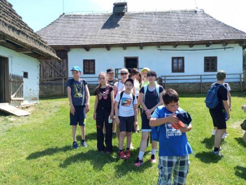 IMG 20240618 134145