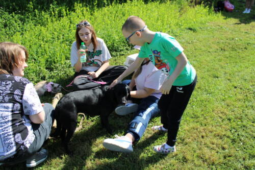 IMG 2571