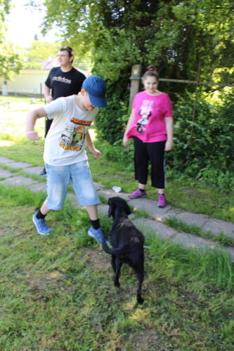 IMG 2682