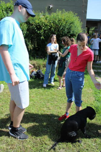 IMG 2692