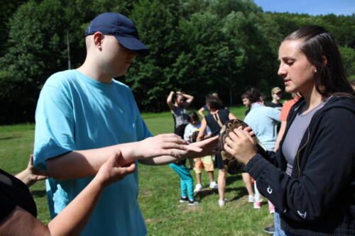 IMG 2701