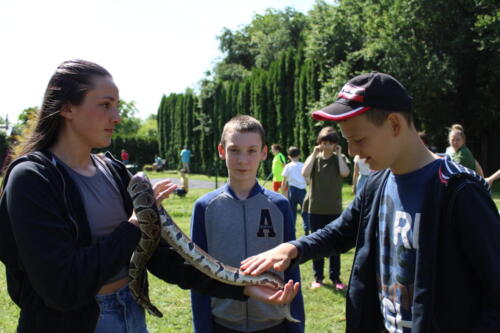 IMG 2720