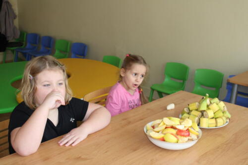 IMG 4261