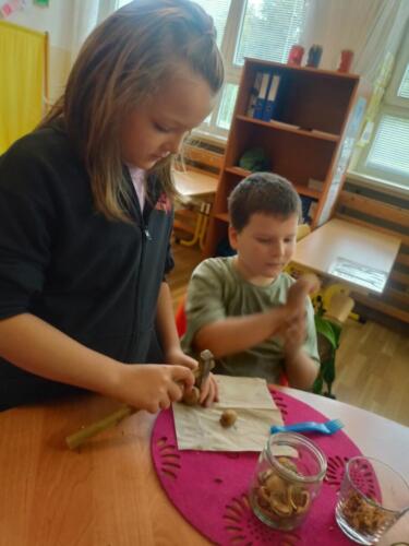 IMG20241004103858