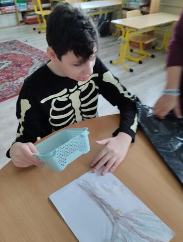 IMG 20241011 110519