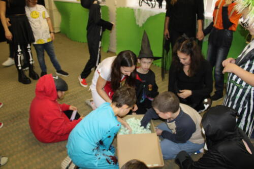 IMG 4217