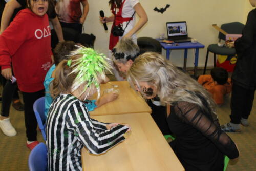 IMG 4241