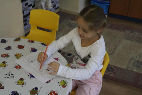 IMG 4443