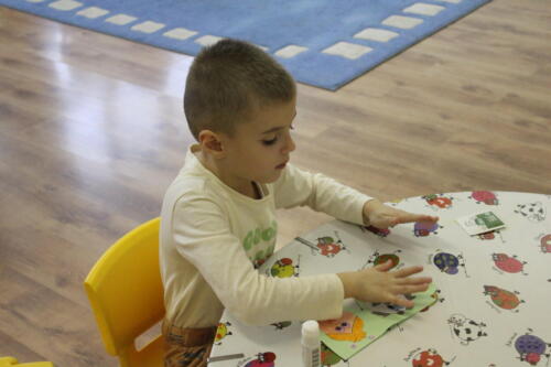 IMG 4494