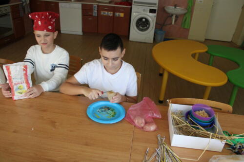 IMG 4506
