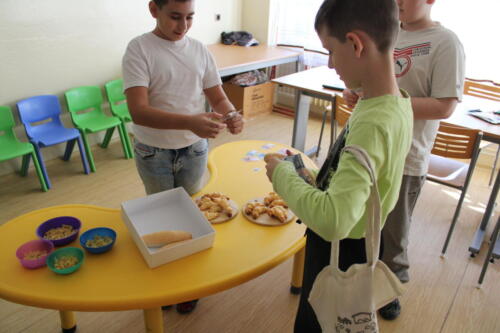 IMG 4537