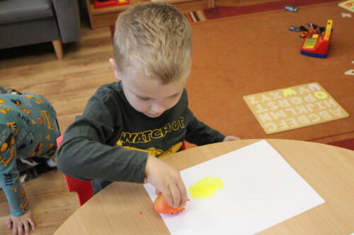 IMG 4559