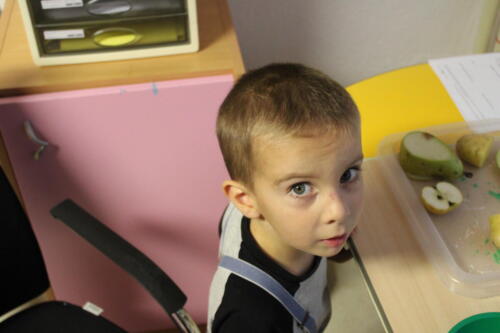 IMG 4577