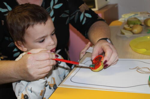 IMG 4582