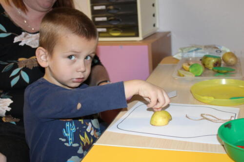 IMG 4588