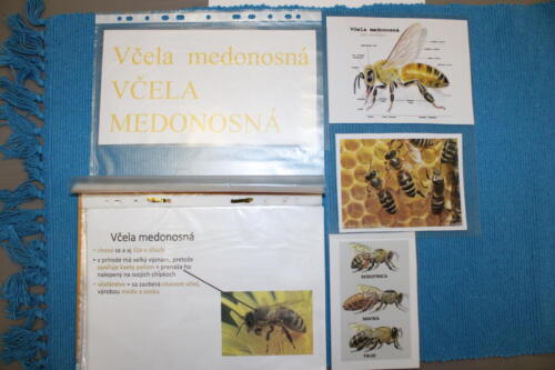 IMG 4719