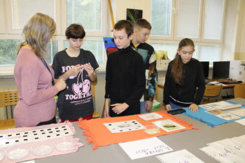 IMG 4721