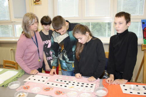 IMG 4727