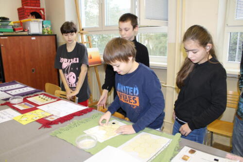 IMG 4730
