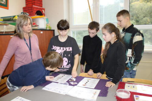 IMG 4734