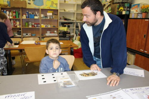 IMG 4743
