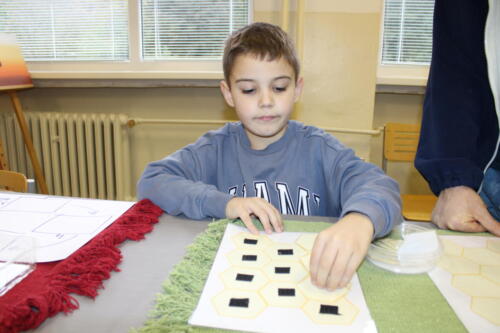 IMG 4751