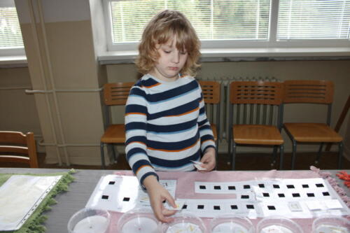 IMG 4763