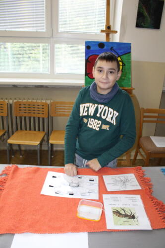IMG 4785