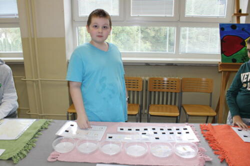 IMG 4786