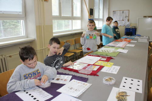 IMG 4789