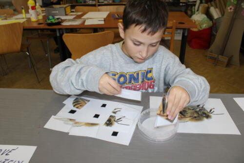 IMG 4792