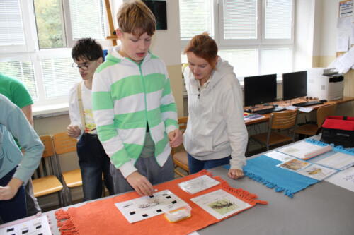 IMG 4816