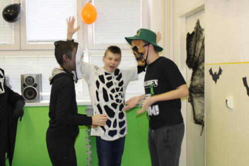 IMG 4989