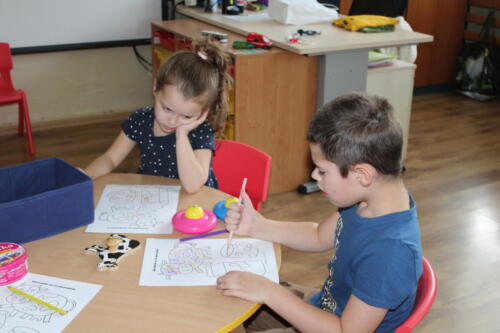 IMG 4085